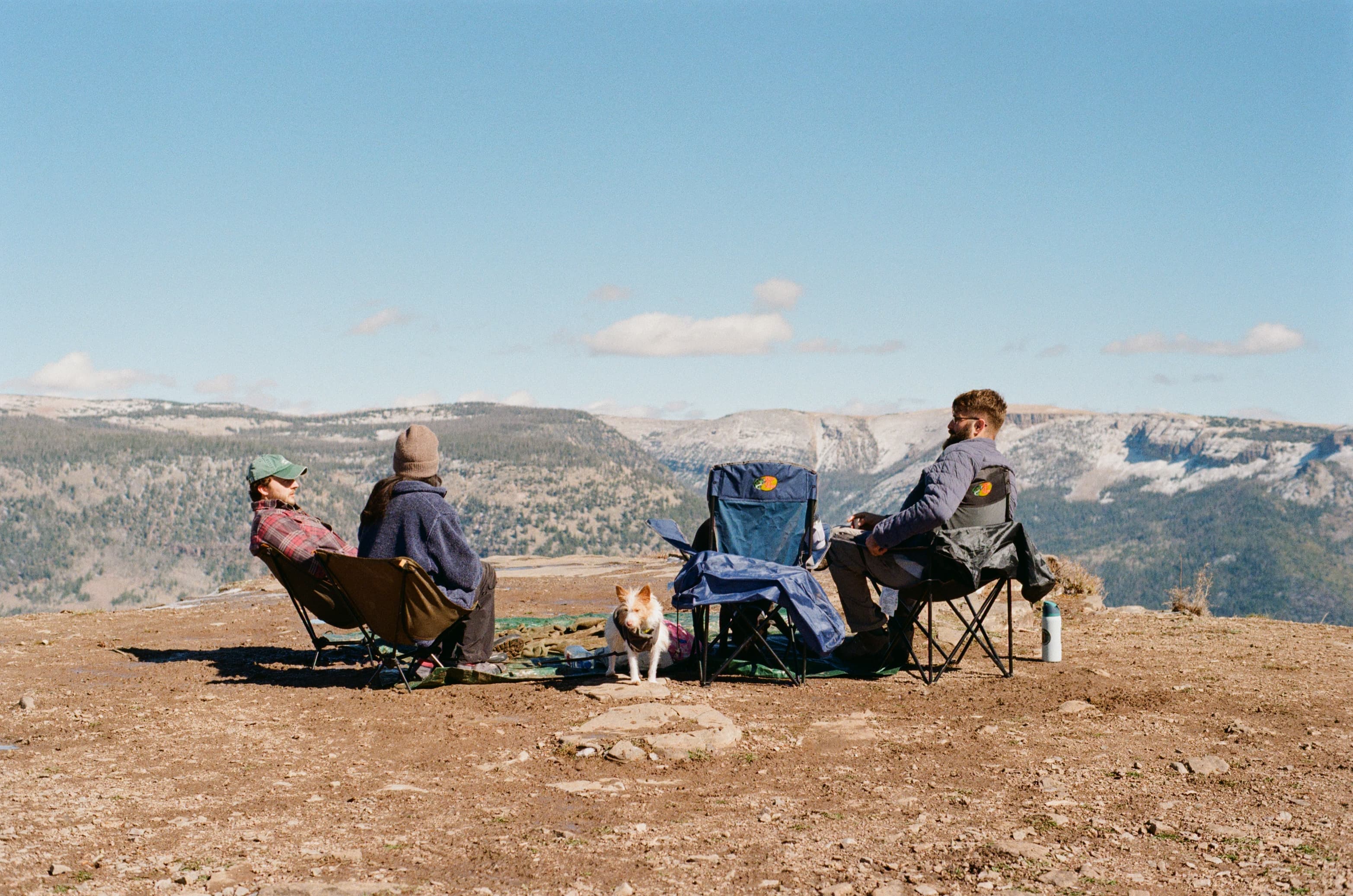 Best pet-friendly cities for monthly rentals (2026 Guide)