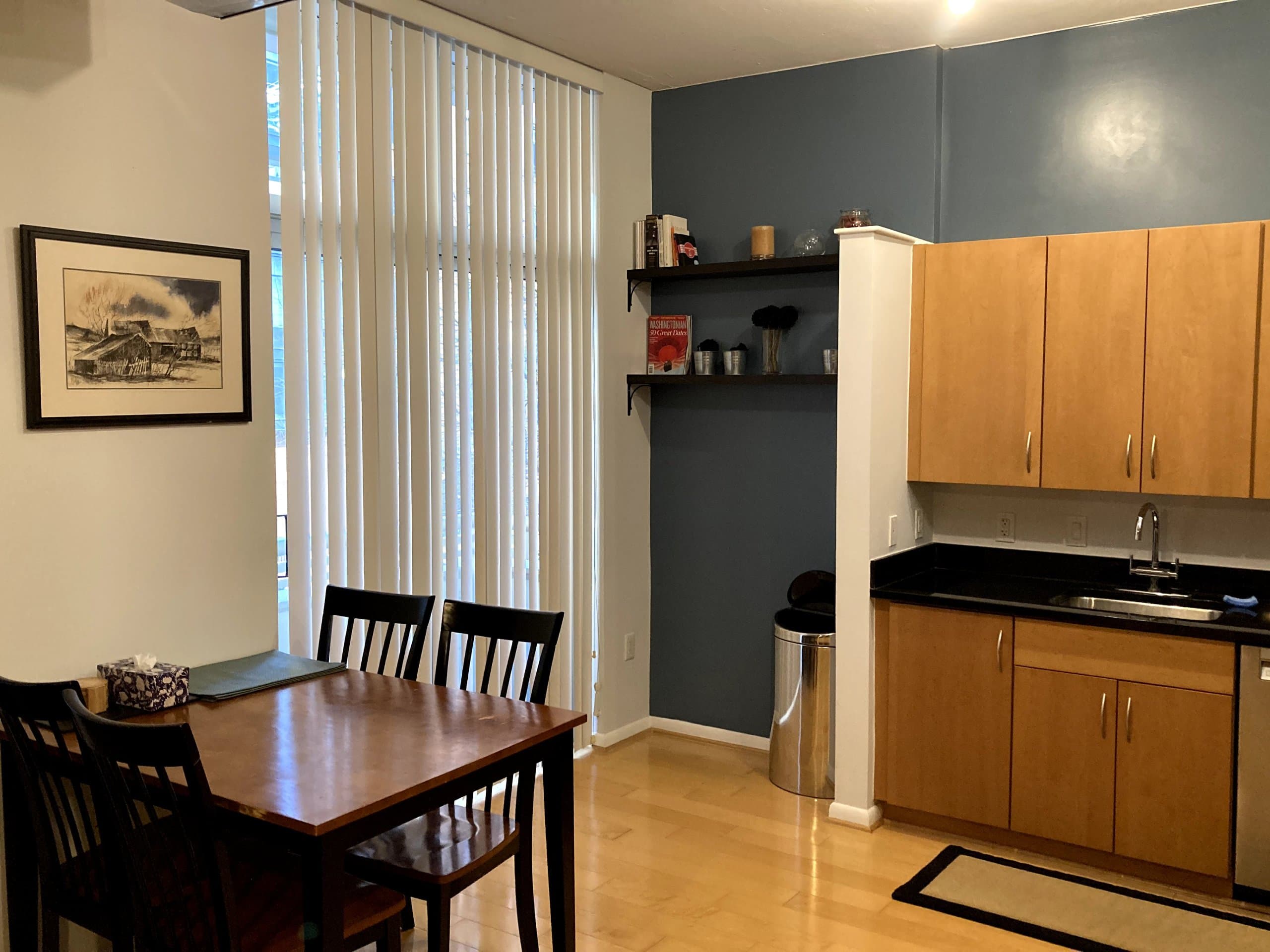 Downtown DC Luxury Loft Condo 5