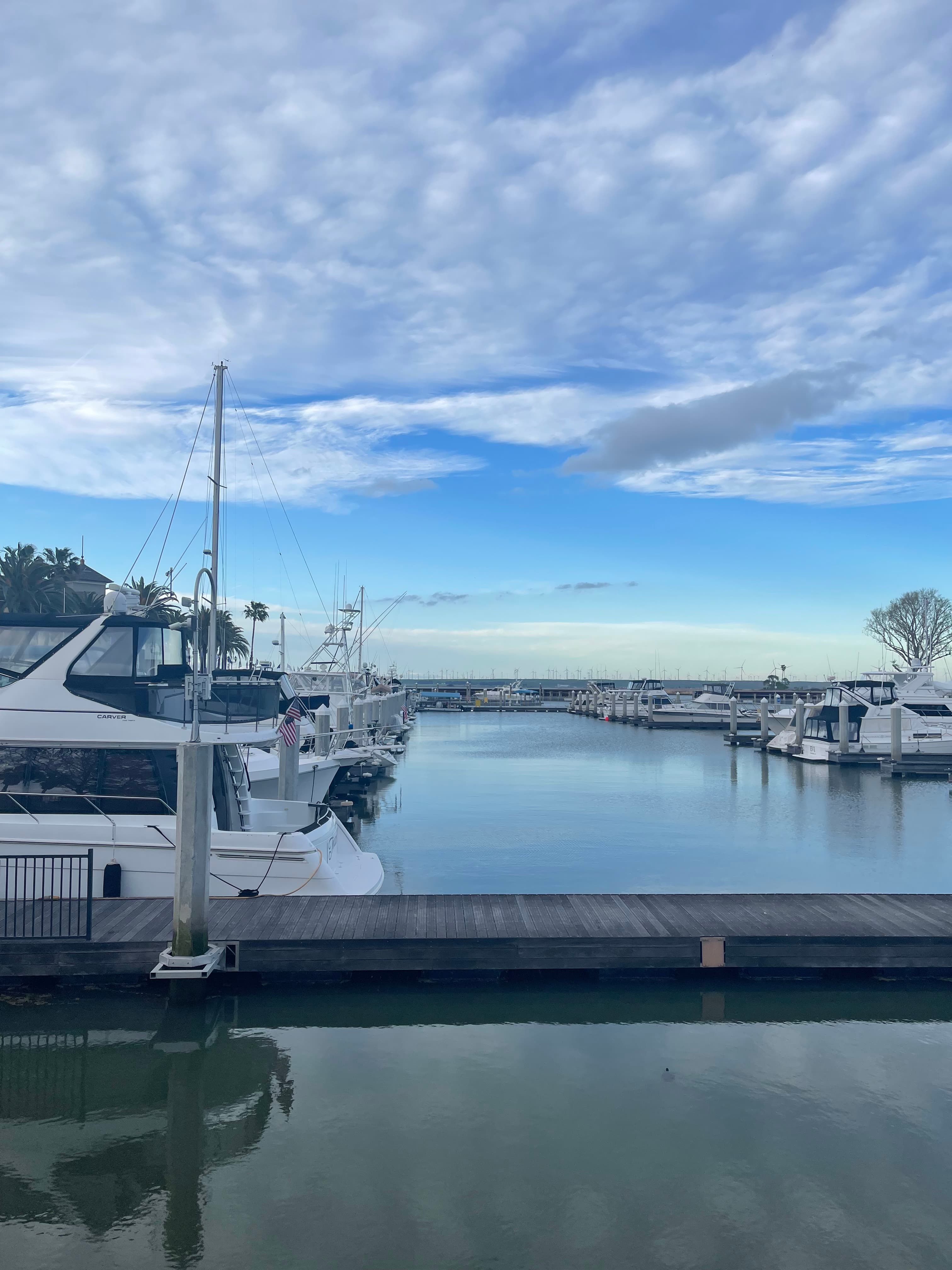 Waterfront Oasis 4