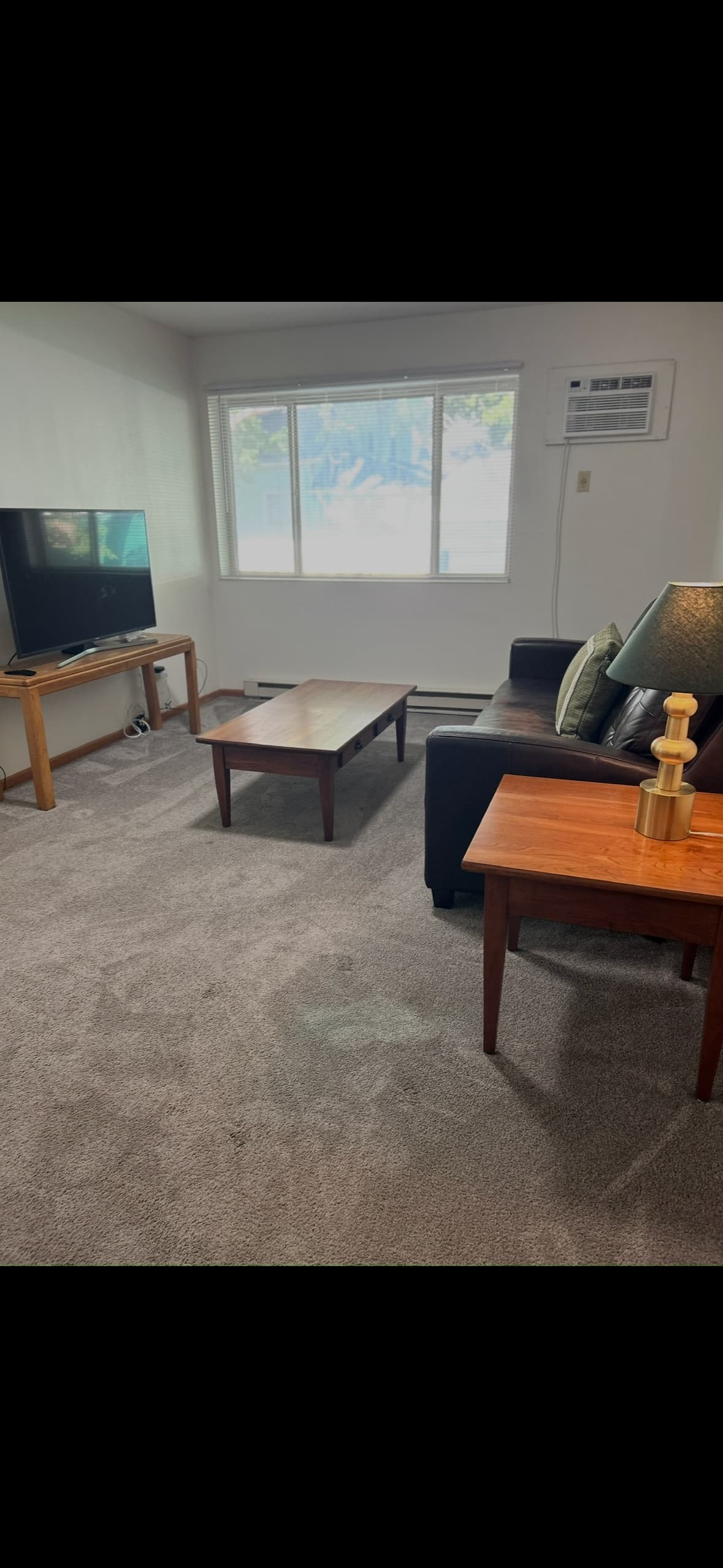 Furnished 2 BR unit +utilities/wifi 2