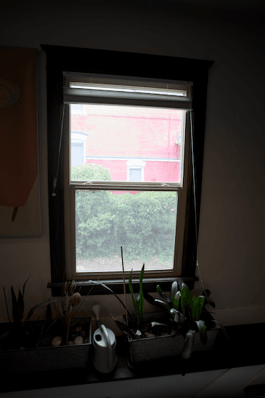 A little gem in the heart of PoHi 4