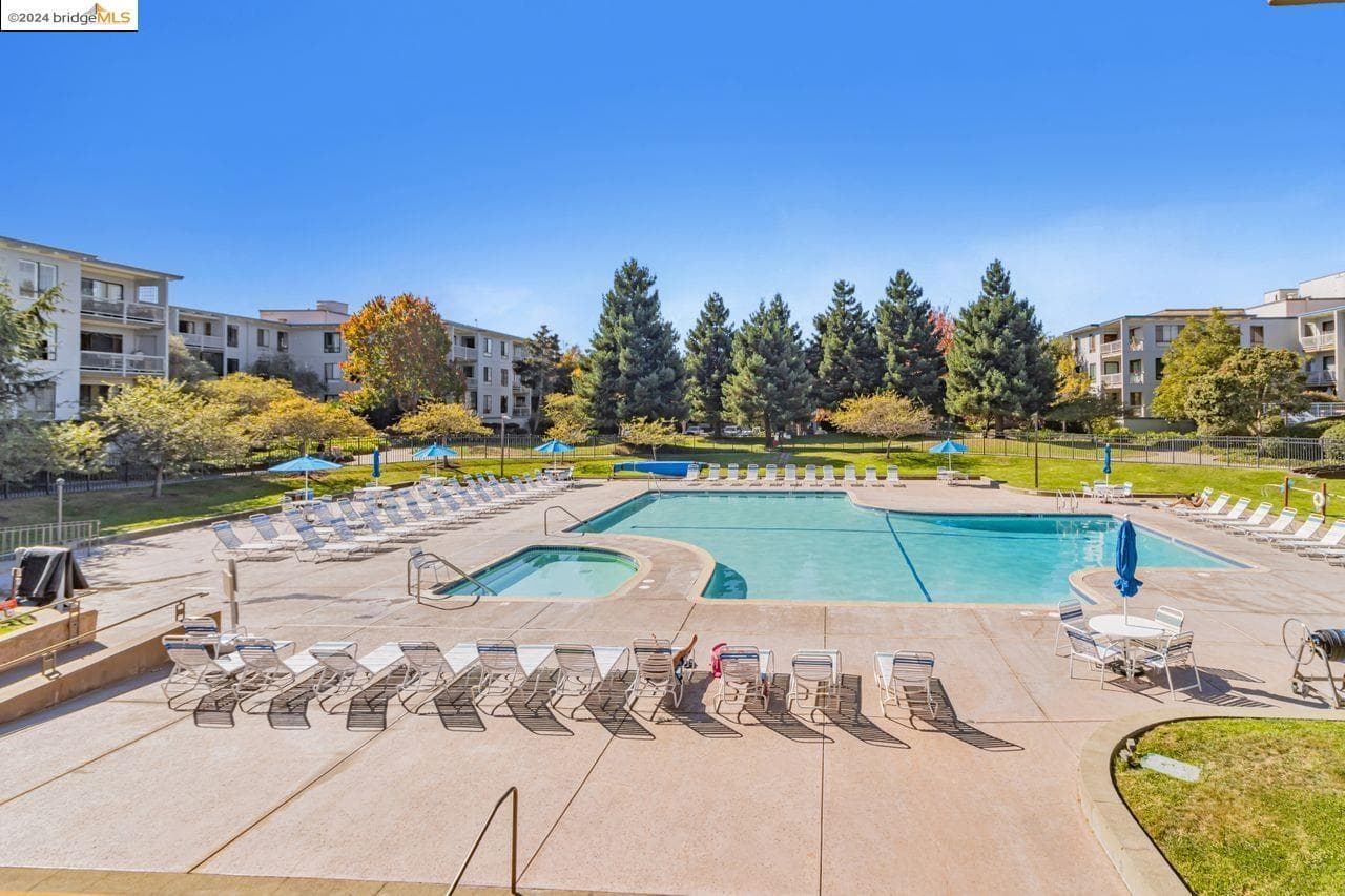 Sun drenched condo on the SF Bay 2