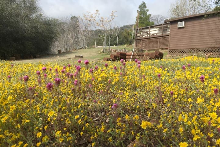 Shirley Creek Retreat 