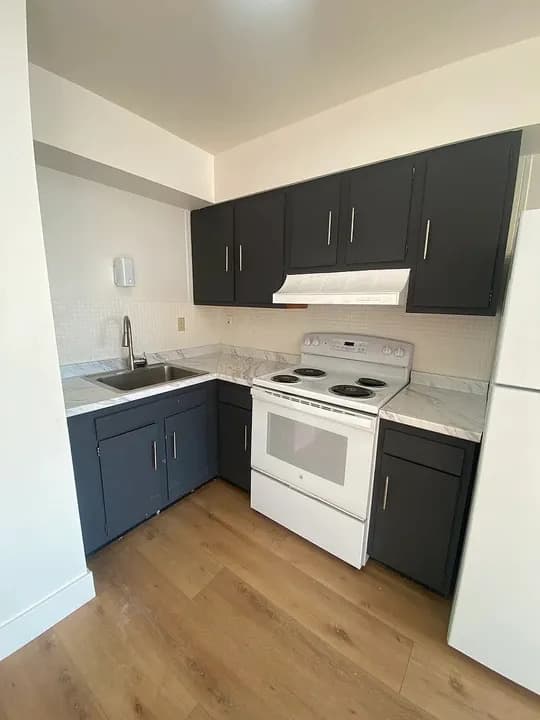 Spacious 1-Bedroom Apartment