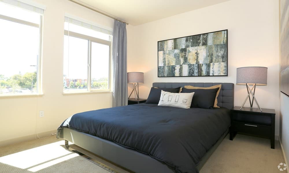 Spacious 1 Bed/ 1 Bath Apartment  3