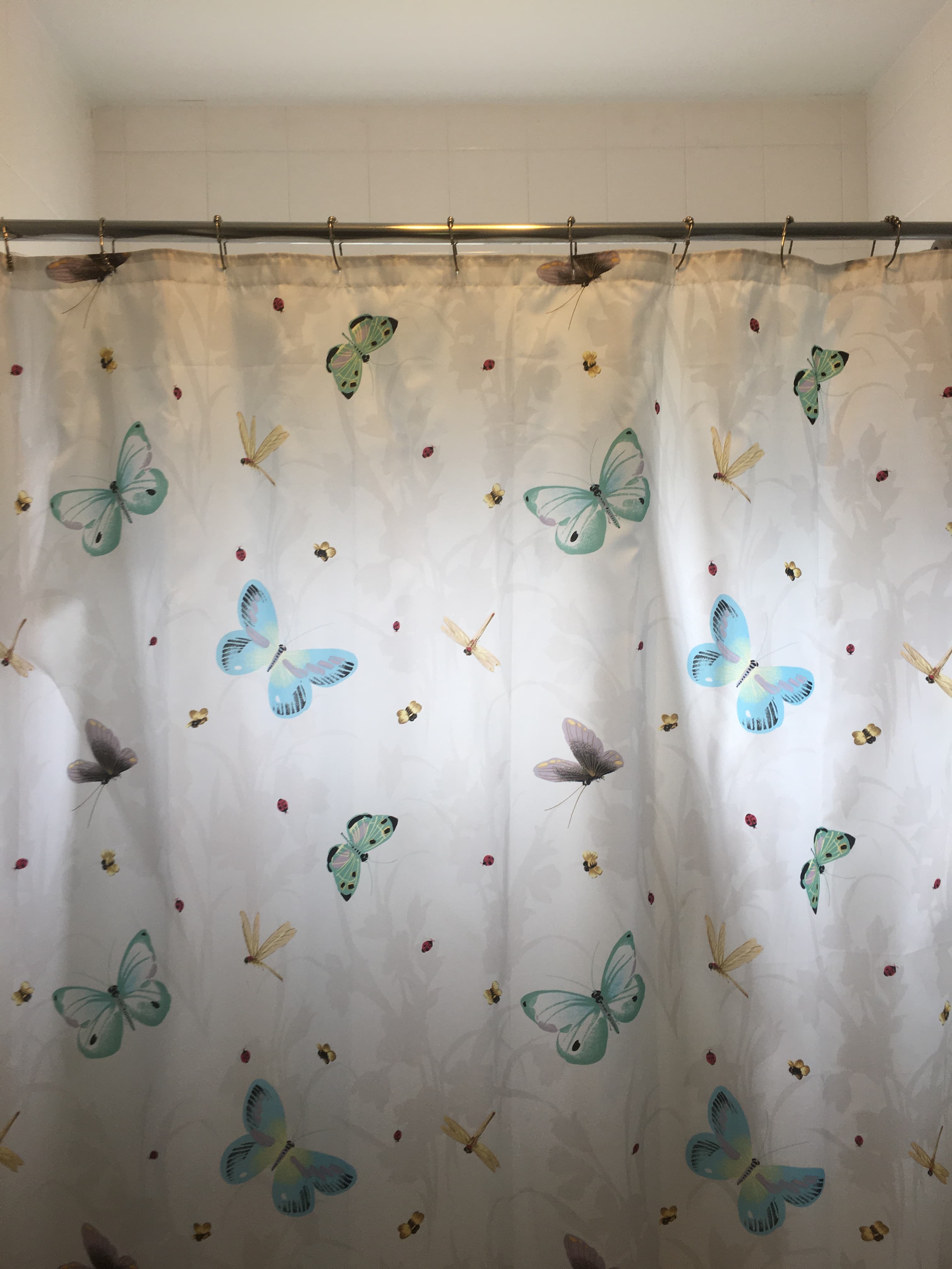 Beautiful two bedroom with own bath 4