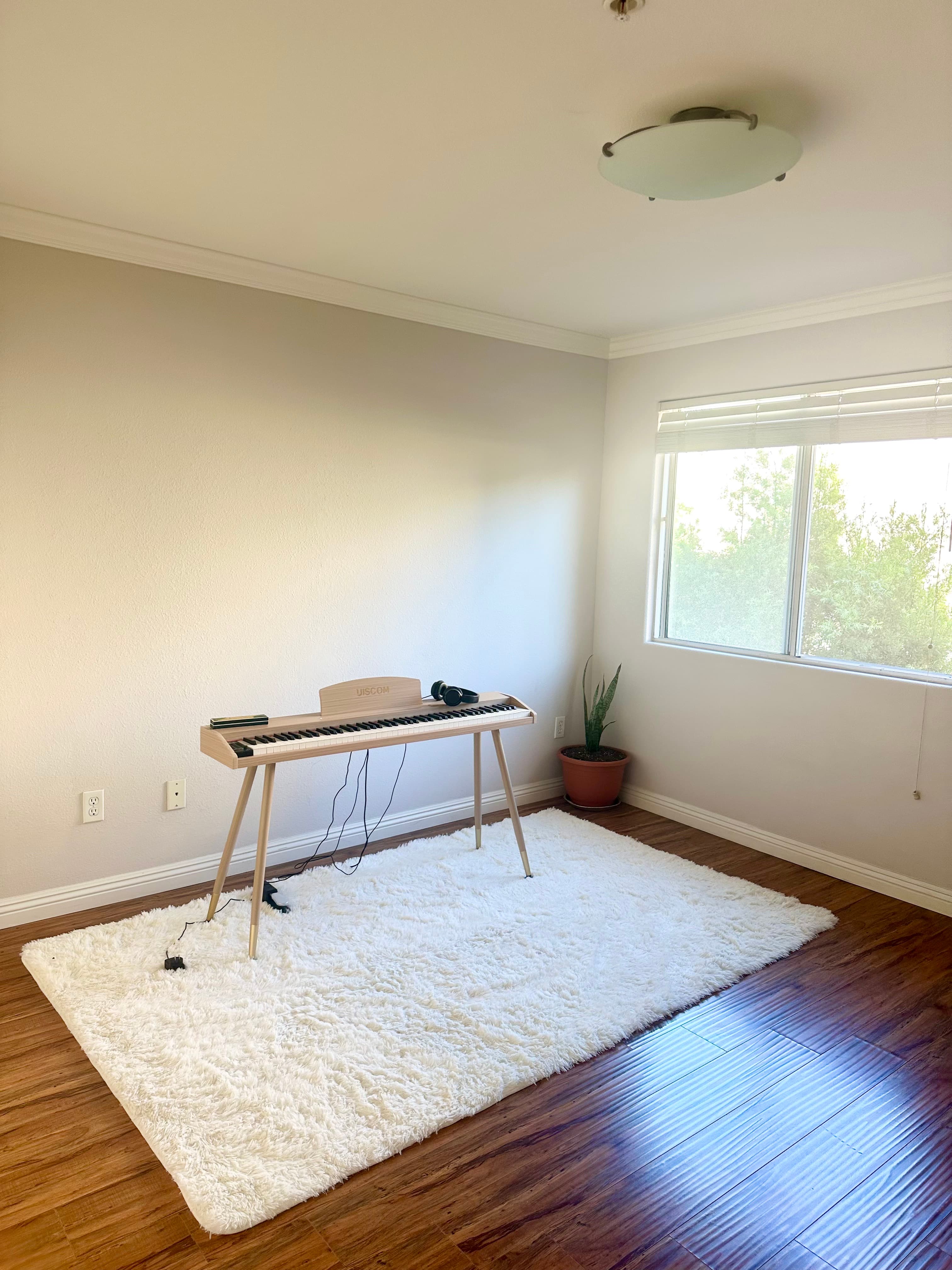 Convenient private room in LA KTown