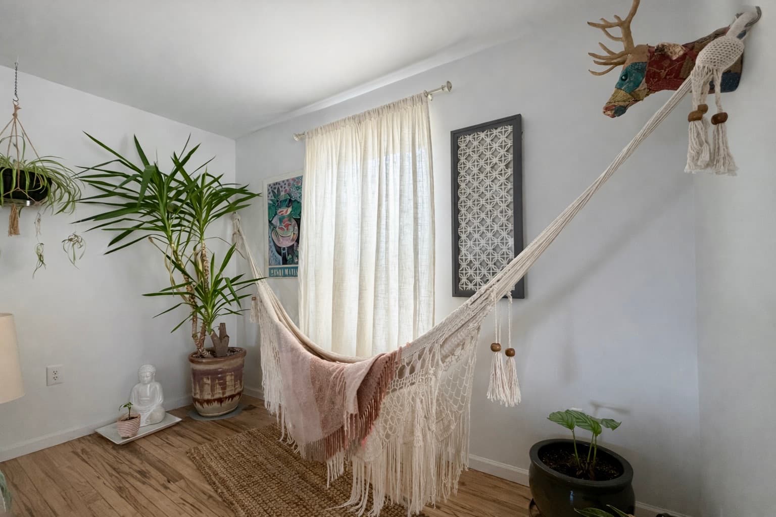 Spacious Oasis 3