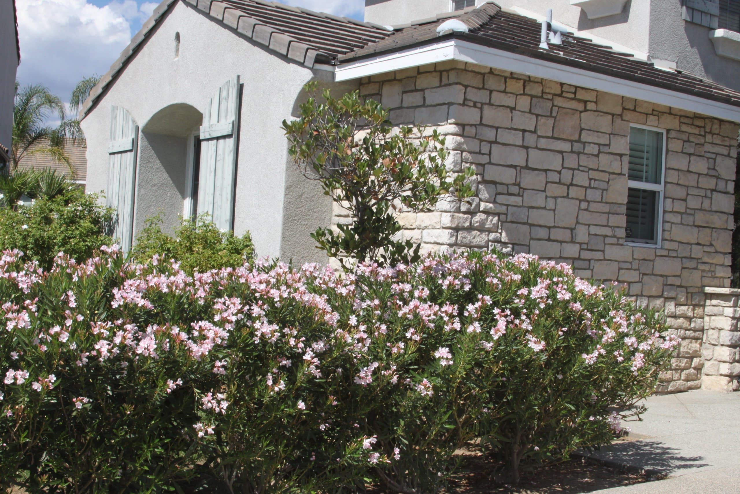 Private Detached Casita 2
