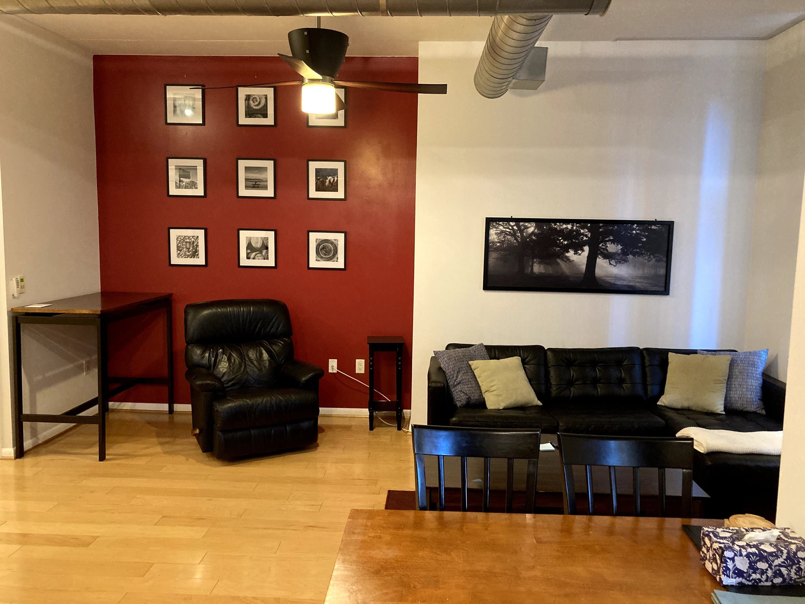 Downtown DC Luxury Loft Condo 3