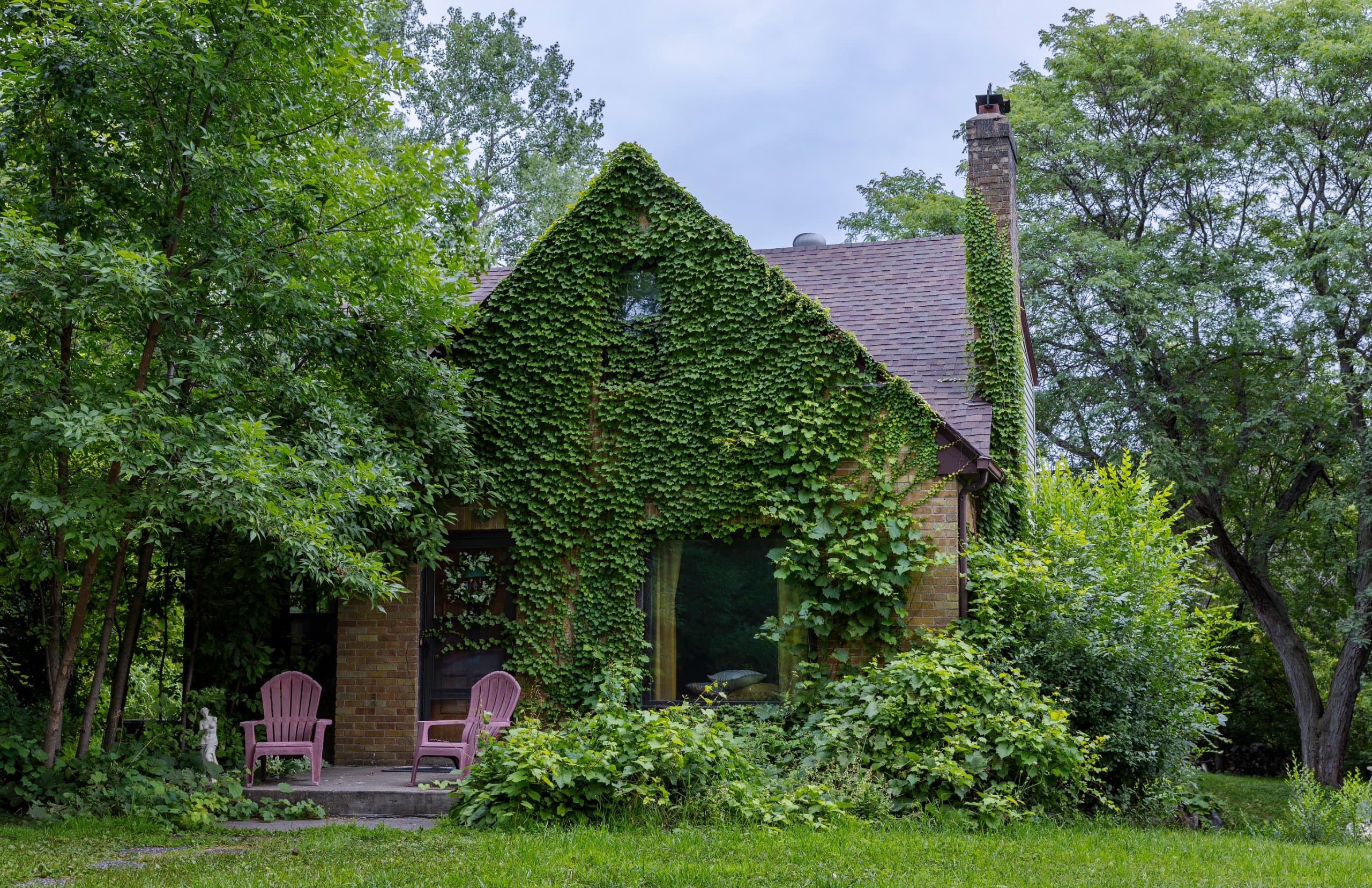 The Bird House.