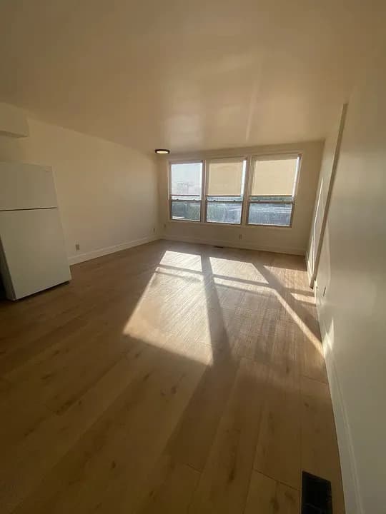 Spacious 1-Bedroom Apartment 5