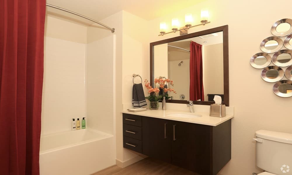 Spacious 1 Bed/ 1 Bath Apartment  4