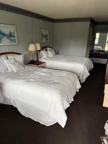 Suite Stays Talladega 2
