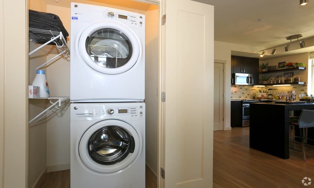 Spacious 1 Bed/ 1 Bath Apartment  5