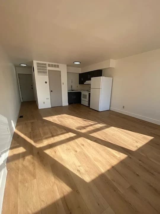 Spacious 1-Bedroom Apartment 4
