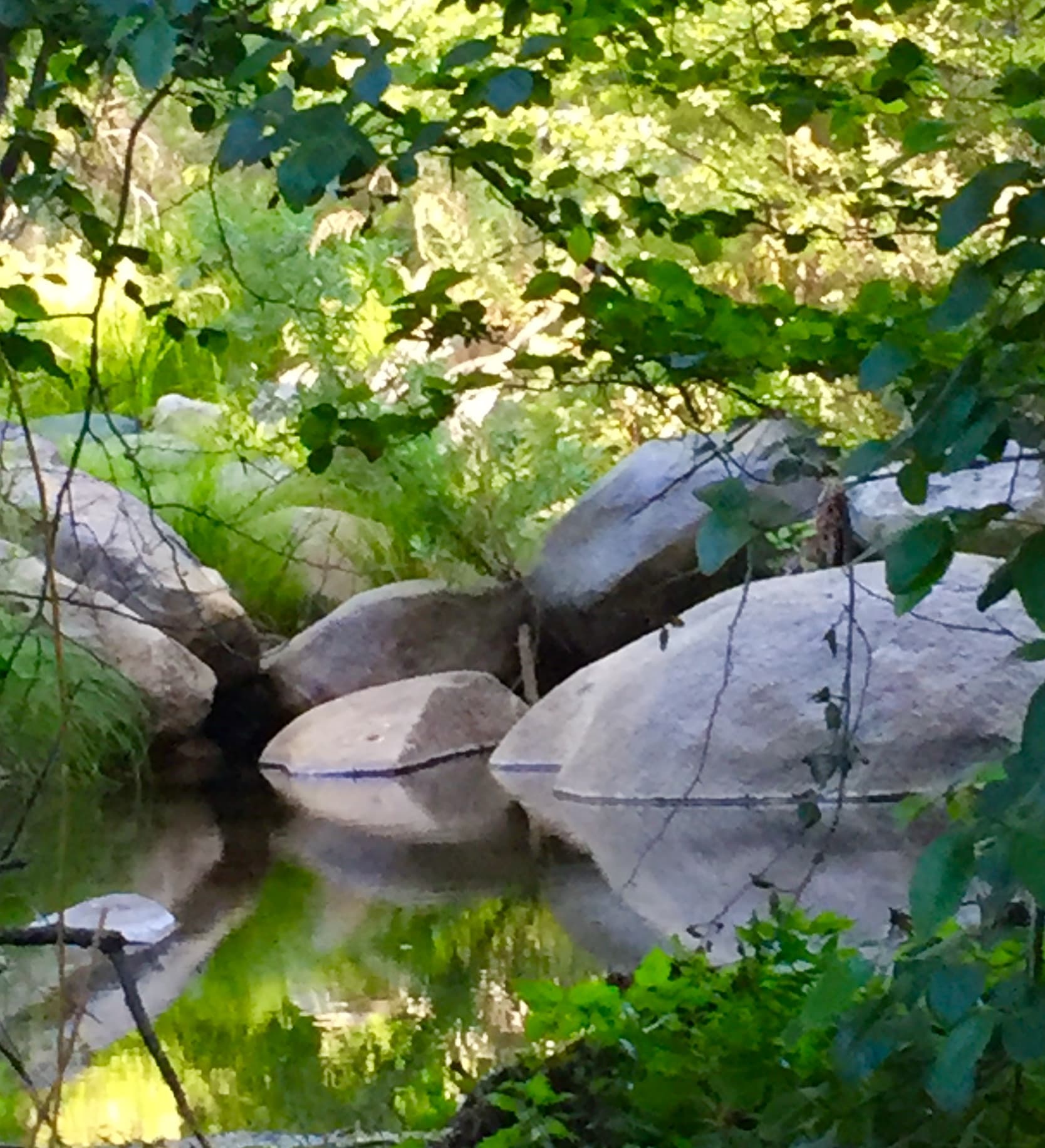 Shirley Creek Retreat  3