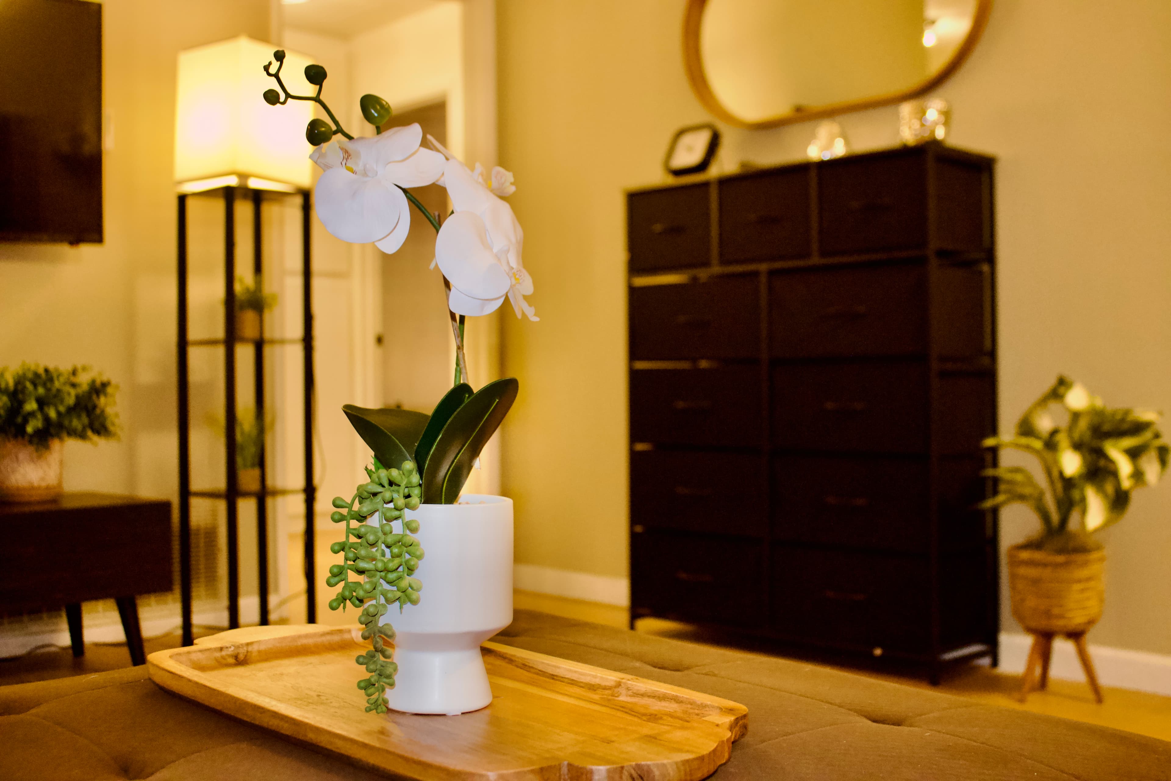 Comfortable Furnished Home Near UCR 3