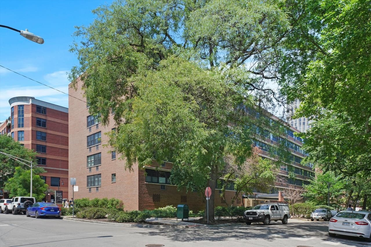 Live the Lincoln Park Life 3
