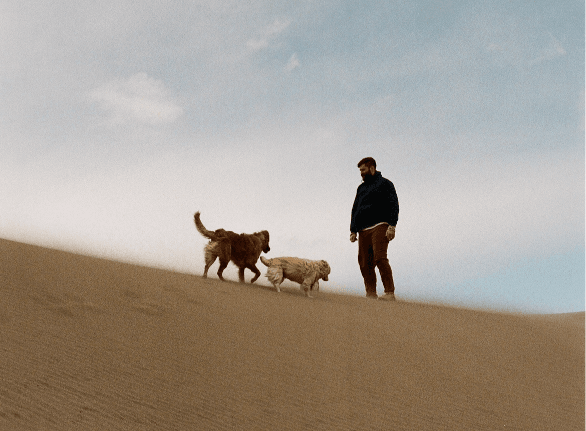 A man and his two dogs on top of Colorado sand dunes.